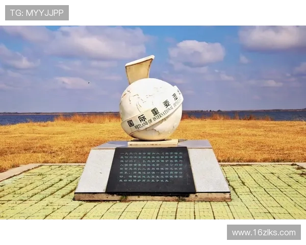 中网比赛地点的历史与发展探讨